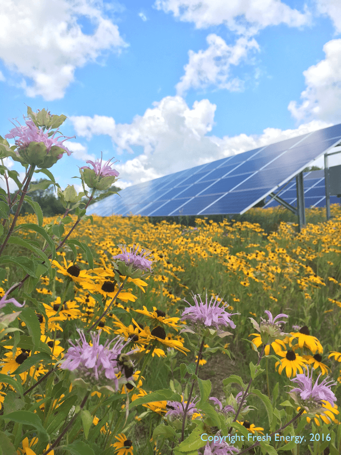 Pollinator-Friendly Solar Initiative