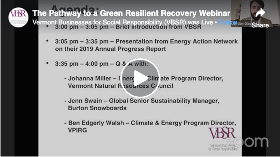 VBSR Webinar on the Pathway to a Green Resilient Recovery